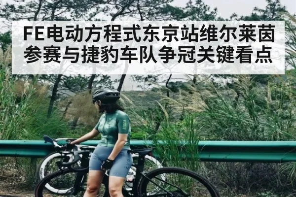 FE电动方程式东京站维尔莱茵参赛与捷豹车队争冠关键看点 | kaiyun sports
